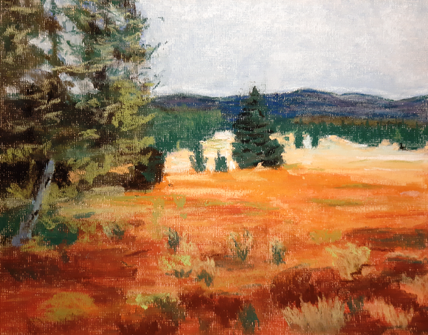 vue sur l'Arselle à Chamrousse prés de Grenoble